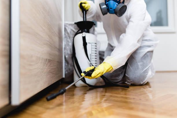 Best Rat Extermination Near Me  in Hayesville, OR