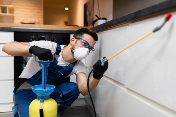 Best Flea Control Services  in Hayesville, OR