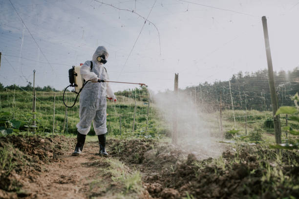 Best Local Pest Control Services  in Hayesville, OR