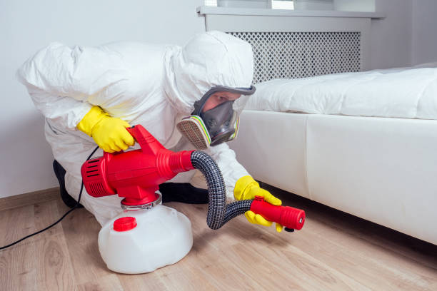 Reliable Hayesville, OR Pest Control Solutions